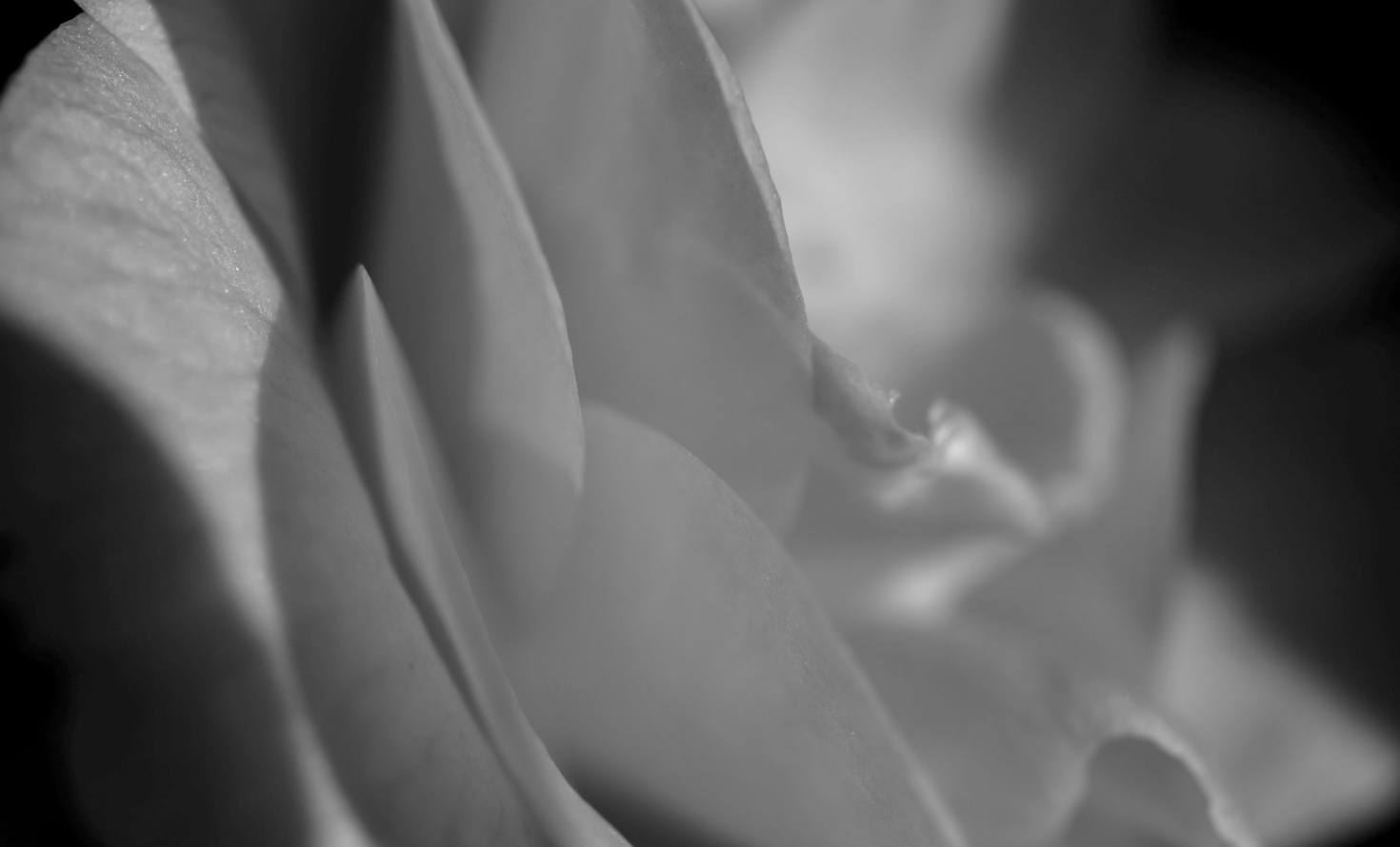 AN.